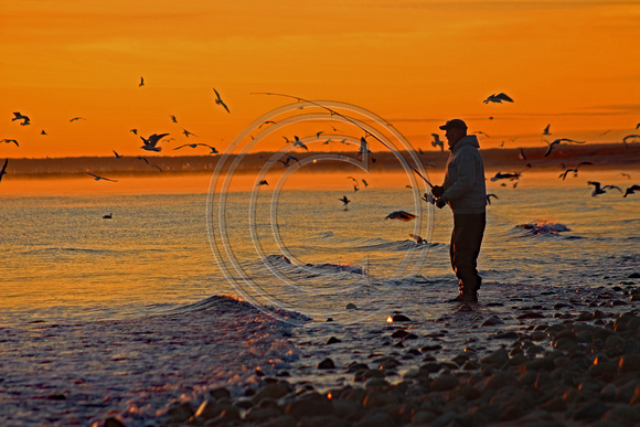 Angler hooking up in November at Sagamore Beach