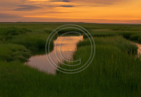 Sandwich marsh at sunrise Cape Cod