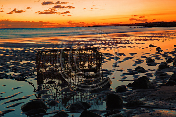 Sunrise at Town Neck Beach Sandwich with a lobster trap