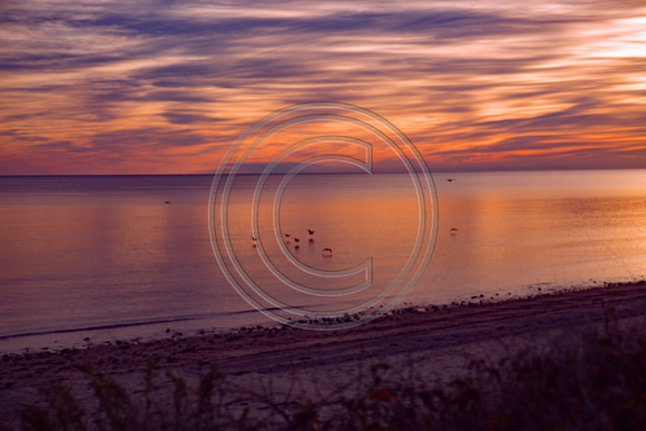 Smooth sunrise with birds Cape Cod Bay